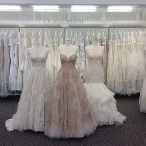 Meet your Posher, Rosa